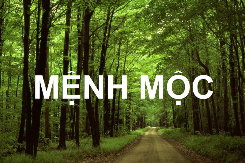 menh moc nen kinh doanh gi