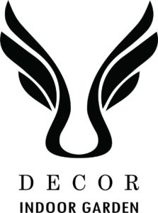 Cửa hàng bán đồ decor trang trí nội thất đẹp ở hà nội