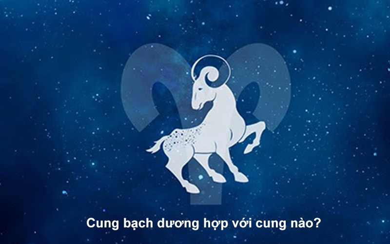 Cung bạch dương hợp với cung nào